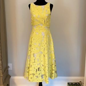 Beautiful Antonio Melani Dress